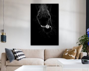 Fine Art paard grappig gapend in low-key licht van Femke Ketelaar