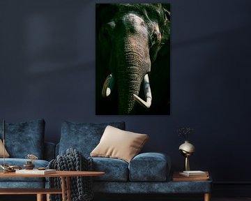 Aziatische olifant met grote witte slagtanden van Sjoerd van der Wal
