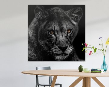 Portrait en noir et blanc d'une lionne. sur Gianni Argese