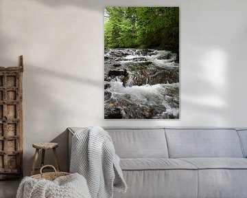 Een val in een rivier in de zomer van Claude Laprise