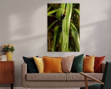 Blad van de Yucca plant | foto gemaakt in Porto van Karijn | Fine art Natuur en Reis Fotografie