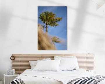 Palmboom aan het strand Curaçao van Tatiana Verbiesen