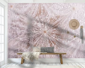 A fluff of a dandelion by Marjolijn van den Berg