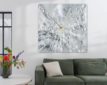 Droplets on a dandelion fluff by Marjolijn van den Berg