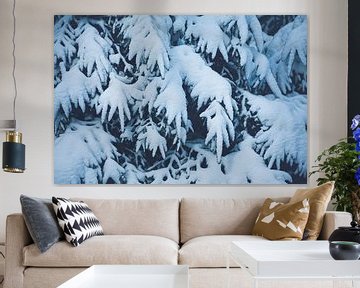 Pine trees in the snow Netherlands | Christmas and winter collection 2022 by Denise Tiggelman