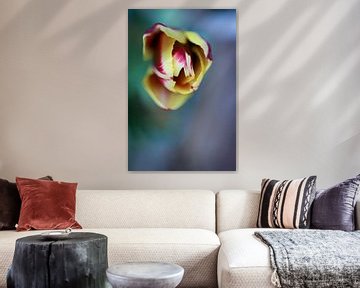 La tulipe vue d'en haut sur Annemarie Veldman