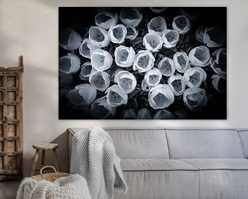 Tulpen in zwart wit van Annemarie Veldman