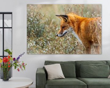 Une belle image d'un renard dans son habitat naturel. sur Gianni Argese