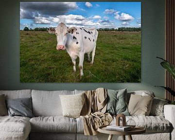 Koe in weiland met mooie wolkenluchten van Ron Van der Wal