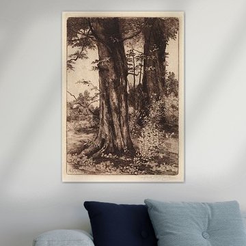 Deux arbres, 1884 - 1957