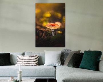 Mooie rood met witte paddenstoel (vliegenzwam) van Hilco Hoogendam