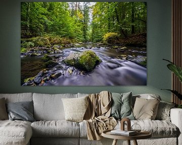 Magisch rivierlandschap in Saksen, het Löbauer water 3 van Holger Spieker