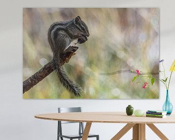 Siberische grondeekhoorn op een prachtige bokeh achtergrond van Gianni Argese