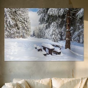 Landschaft im Winter im Thüringer Wald in der Nähe von Schmied von Rico Ködder
