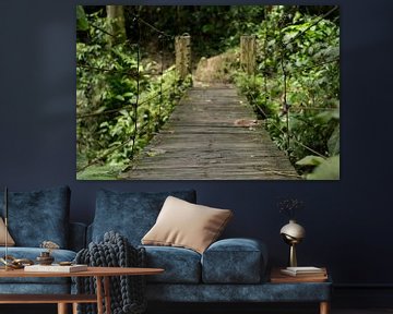 Houten brug in de jungle van Ecuador by Jos van Ooij
