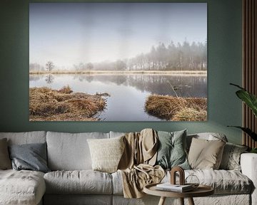 Mistig landschap van Lisa Bouwman