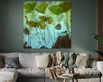 Verse lotus van Martine Affre Eisenlohr