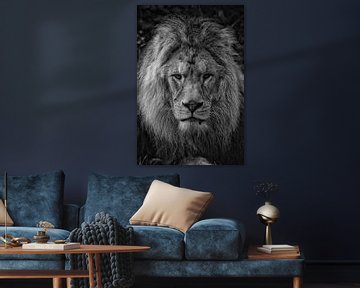 Le Roi Lion sur Arnoud van der Meer