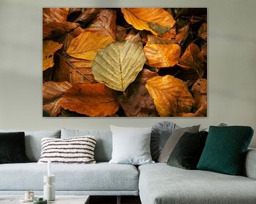 autumn balders by lydia versluis