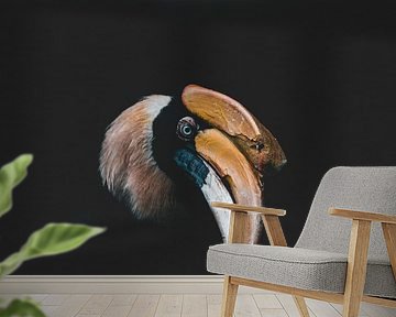 The Bucerotidae (Hornbill) photographed in Vietnam | Bird photography trips by Ken Tempelers
