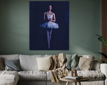 Danseuse de ballet en couleur debout 01 sur FotoDennis.com | Werk op de Muur