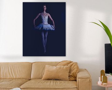 Ballet dancer in color standing 02 by FotoDennis.com
