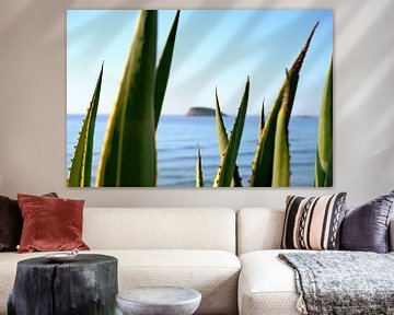 Agave bladeren en  rots aan de Middellandse Zee, Ibiza van Diana van Neck Photography