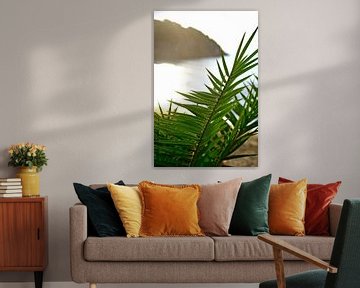 Palmbladeren en rots aan de Middellandse Zee, Ibiza van Diana van Neck Photography