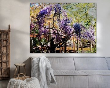 Wisteria en het hek van Dorothy Berry-Lound