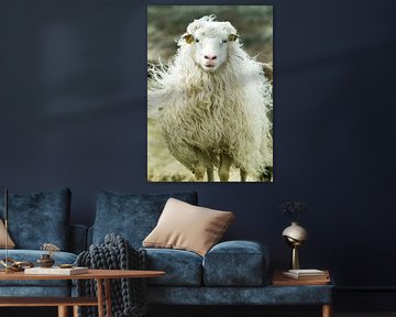 Mouton sur Kirsten Warner
