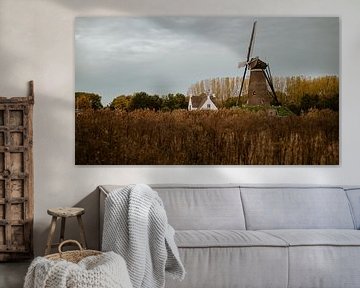 Oktoberlucht bij de Roosdonckse molen van Amy Harper Fotografie