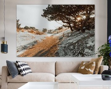 Path through the winter dunes, Noordwijk by Yanuschka | Noordwijk Fine Art Fotografie