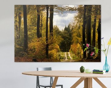 Boswandeling het is herfst in de Veluwe van Sara in t Veld Fotografie