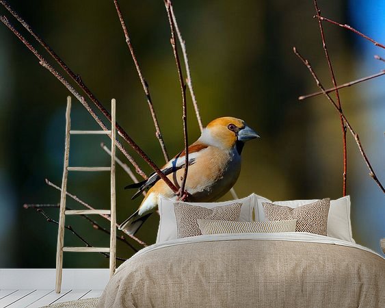 Voorbeeld van het werk in een kamer