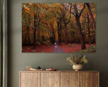 Cyclist in autumn