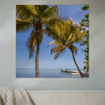 FLORIDA KEYS Droomachtige wereld