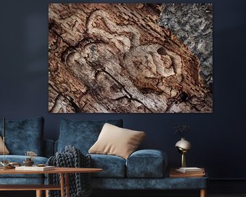 Abstracte texturen op natuurlijk dood hout van Imladris Images