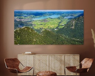 Panorama van Neuschwanstein vanaf de Säuling van Walter G. Allgöwer