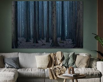 Nebliger und stimmungsvoller Wald von Vincent Fennis