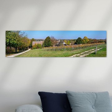 Autumn in the Weinviertel