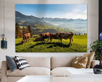 Koeien in een weide in Zwitserland van Conny Pokorny