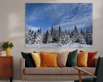 Une forêt de résineux sous un ciel bleu sur Claude Laprise