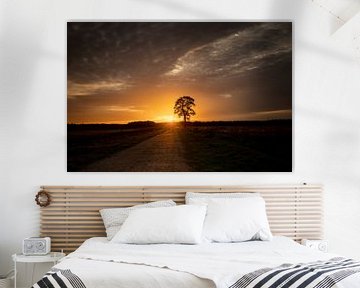 Arbre solitaire au bord d'une route et le coucher du soleil sur KB Design & Photography (Karen Brouwer)