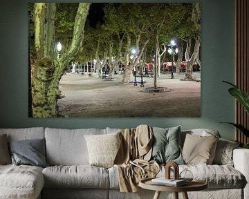 Place de Lices in Saint Tropez van whmpictures .com