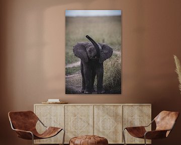 BABY ELEPHANT van Ssenyonyi Derrick