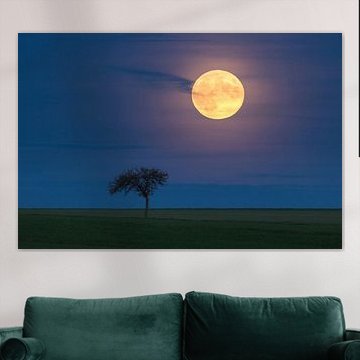 Mystischer Mondaufgang