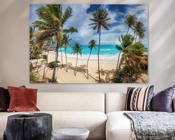 Droomstrand met palmbomen op Barbados in het Caribisch gebied. van Voss Fine Art Fotografie