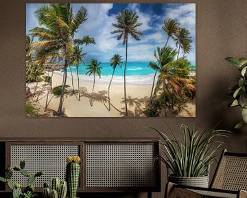 Traumhafter Strand mit Palmen auf Barbados in der Karibik. 
