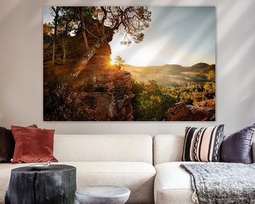 La forêt de Pfäz au lever du soleil sur Voss Fine Art Fotografie