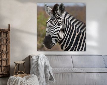 Portrait of zebra by Rini Kools